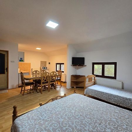 Std "Vila Bor" Stara Planina Crni Vrh Exteriér fotografie