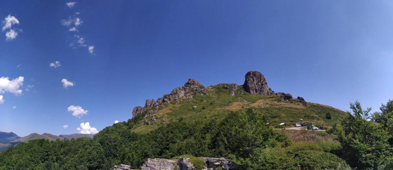 Std "Vila Bor" Stara Planina Crni Vrh Exteriér fotografie