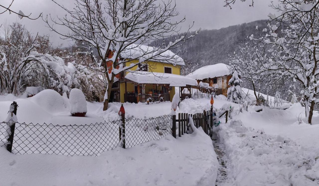 Std "Vila Bor" Stara Planina Crni Vrh Exteriér fotografie