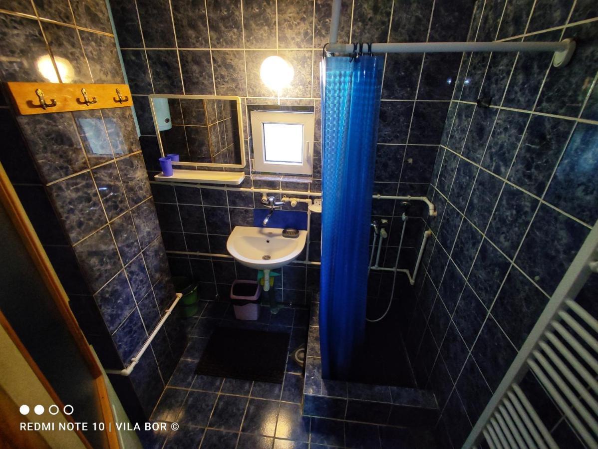 Std "Vila Bor" Stara Planina Crni Vrh Exteriér fotografie