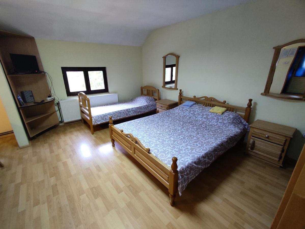 Std "Vila Bor" Stara Planina Crni Vrh Exteriér fotografie