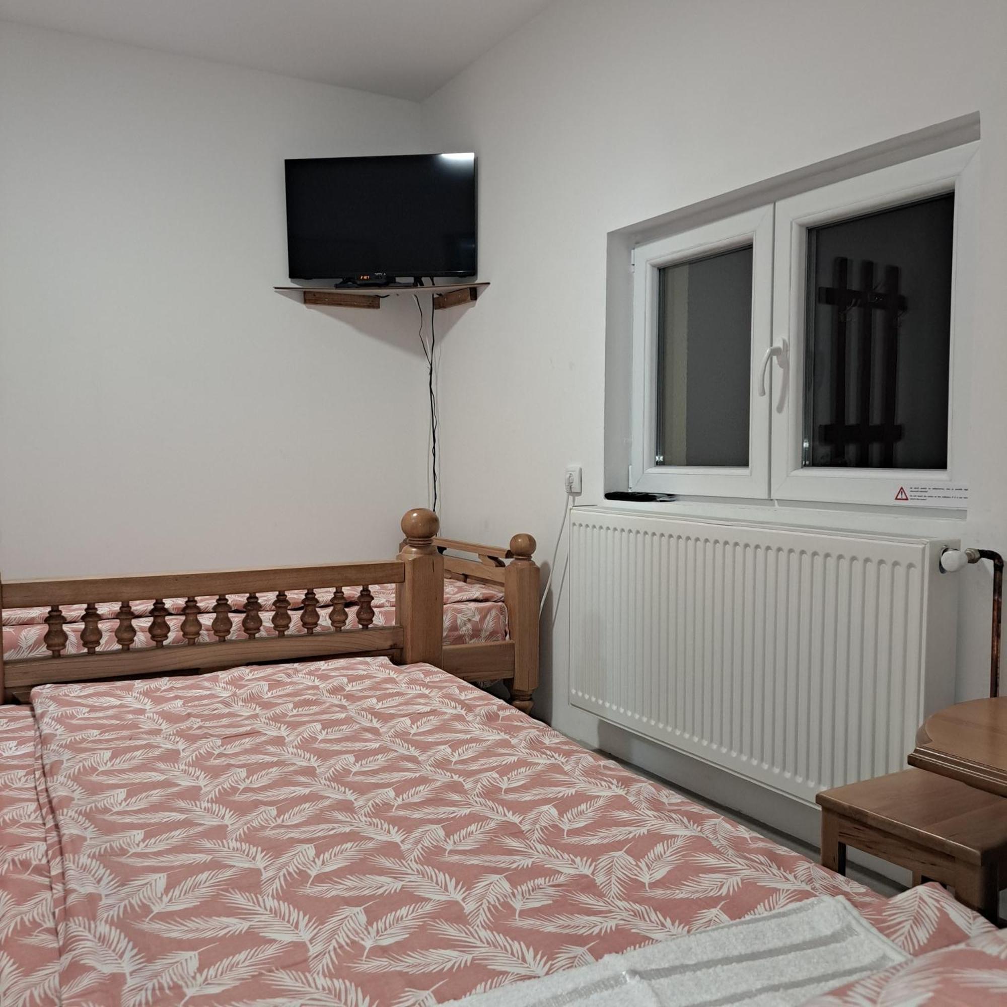Std "Vila Bor" Stara Planina Crni Vrh Exteriér fotografie