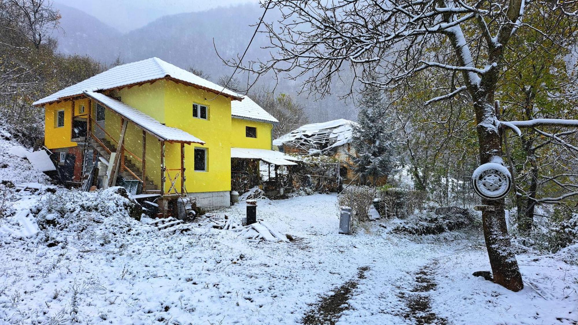 Std "Vila Bor" Stara Planina Crni Vrh Exteriér fotografie