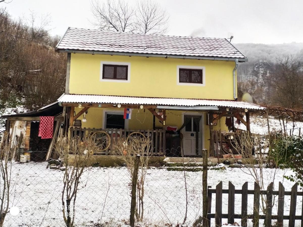 Std "Vila Bor" Stara Planina Crni Vrh Exteriér fotografie